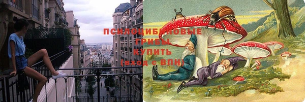 бошки Абаза