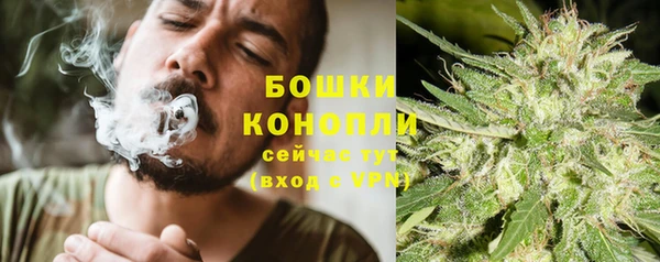 ПСИЛОЦИБИНОВЫЕ ГРИБЫ Абдулино