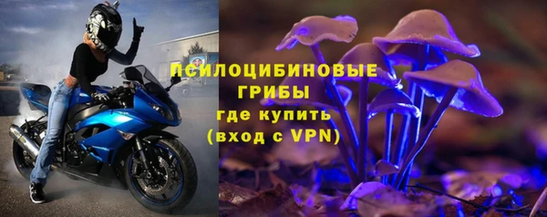 ПСИЛОЦИБИНОВЫЕ ГРИБЫ Абдулино